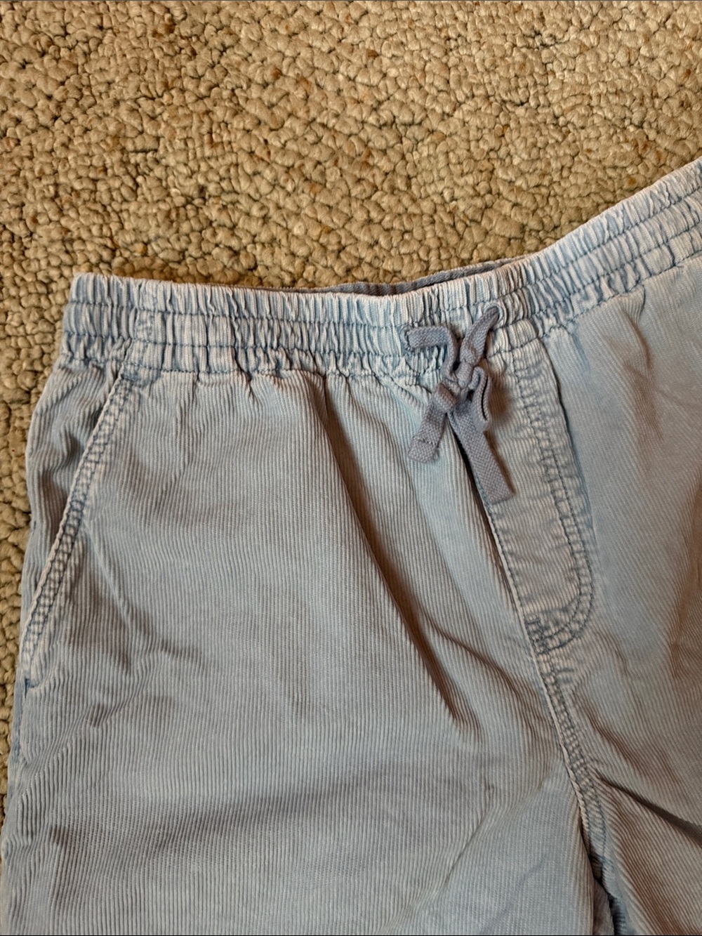 J. Crew Light Blue Elastic Waist Corduroy Shorts - Picture 3 of 7
